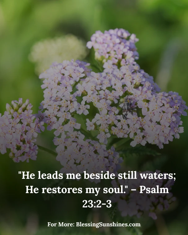 Blessed Path This Thursday