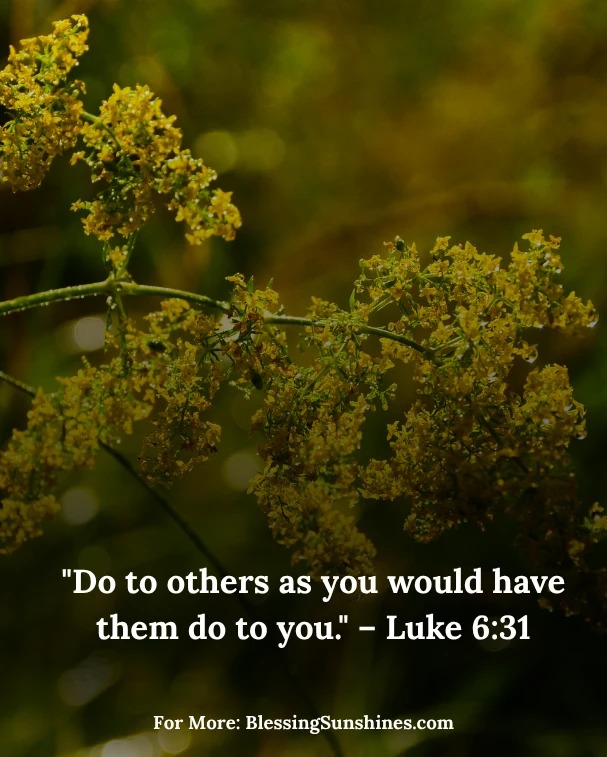 Blessed Thursday Connections