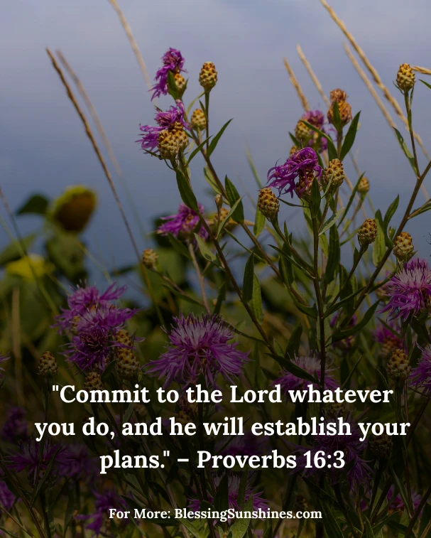Blessed Thursday Journey Ahead