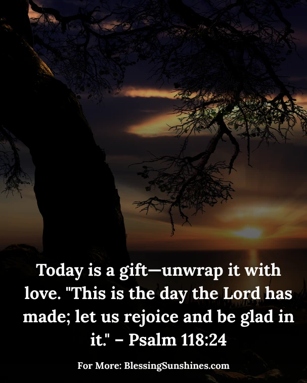 Blessed Thursday Morning Sunshine
