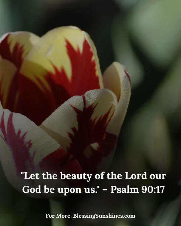 Blessed and Beautiful Thursday