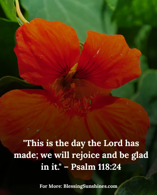 Blessed and Joyful Thursday