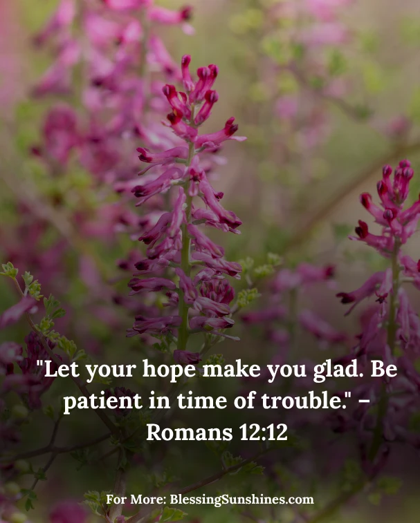 Embrace Thursday with Hope