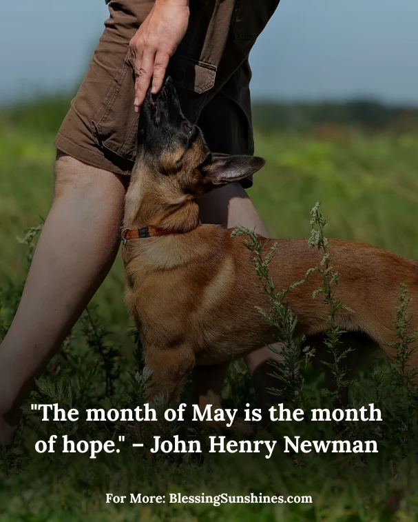 Famous Quotes About May