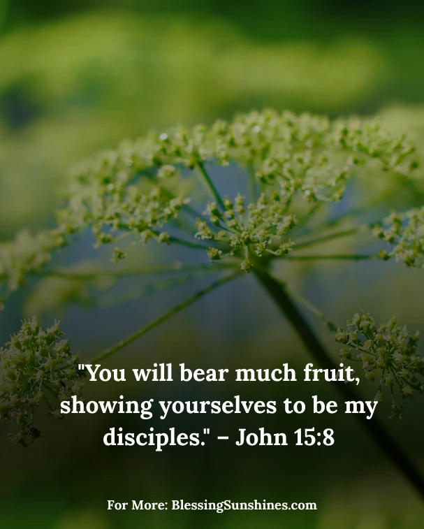 Fruitful and Faithful Thursday Morning