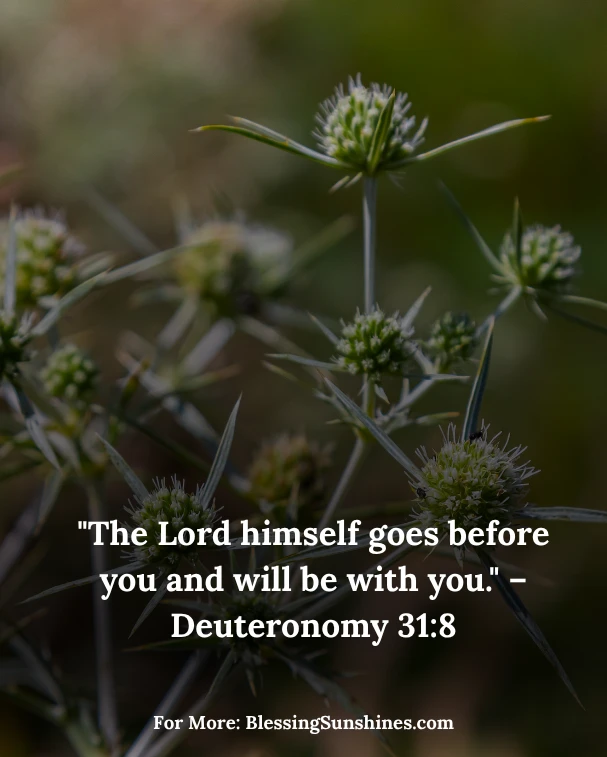 Glorious Thursday Morning Blessings