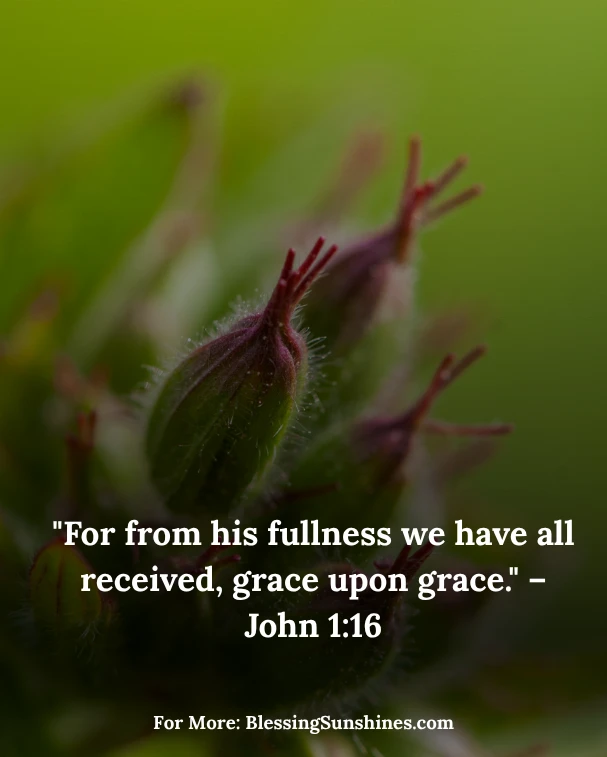 Graceful Thursday Blessings Shine