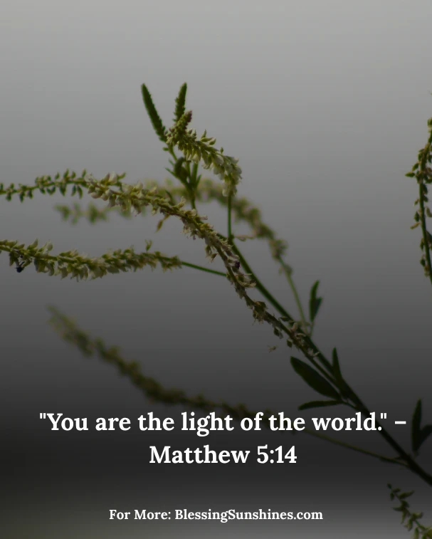 Happy Thursday Blessings Radiance