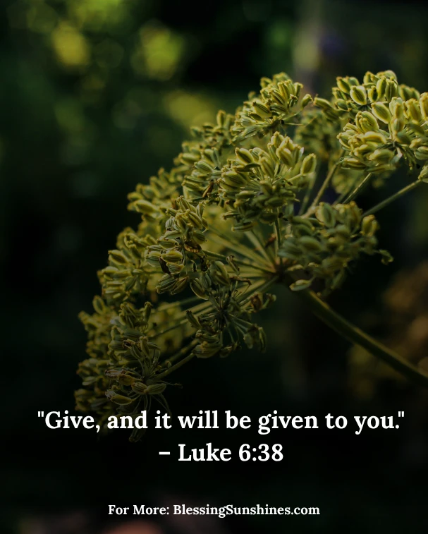 Happy Thursday Blessings images Shared