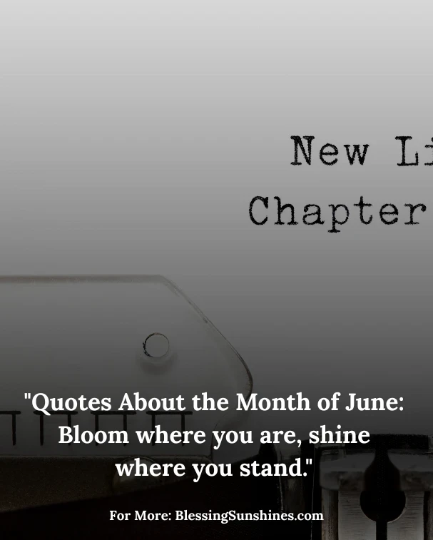 June Quote Collection