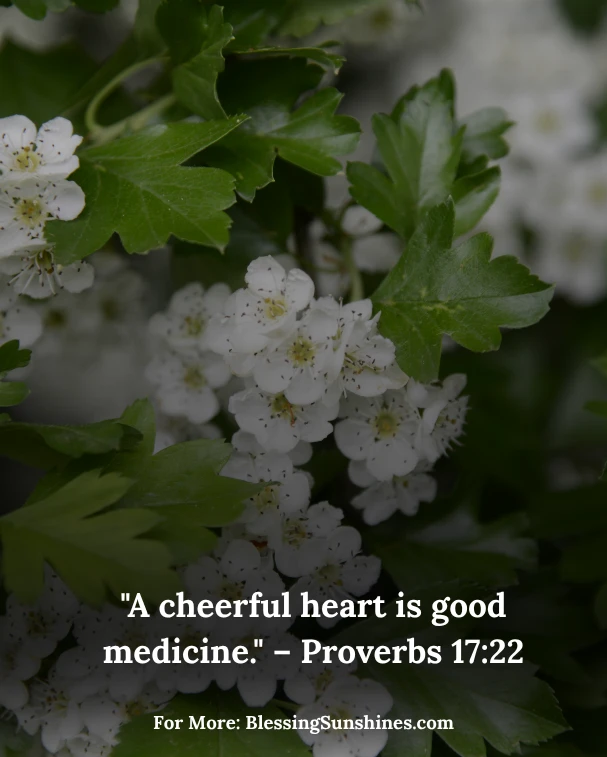 Lighthearted Thursday in Faith