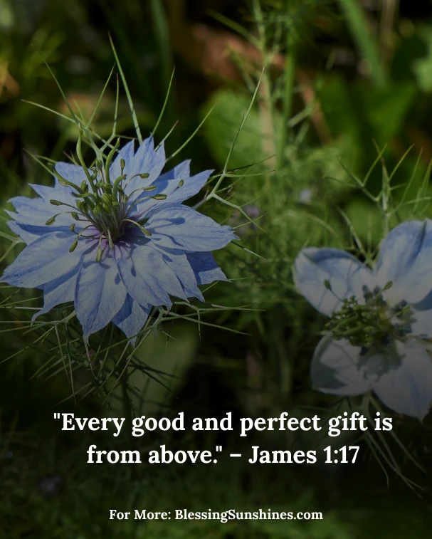 Morning Blessings for a Glorious Thursday