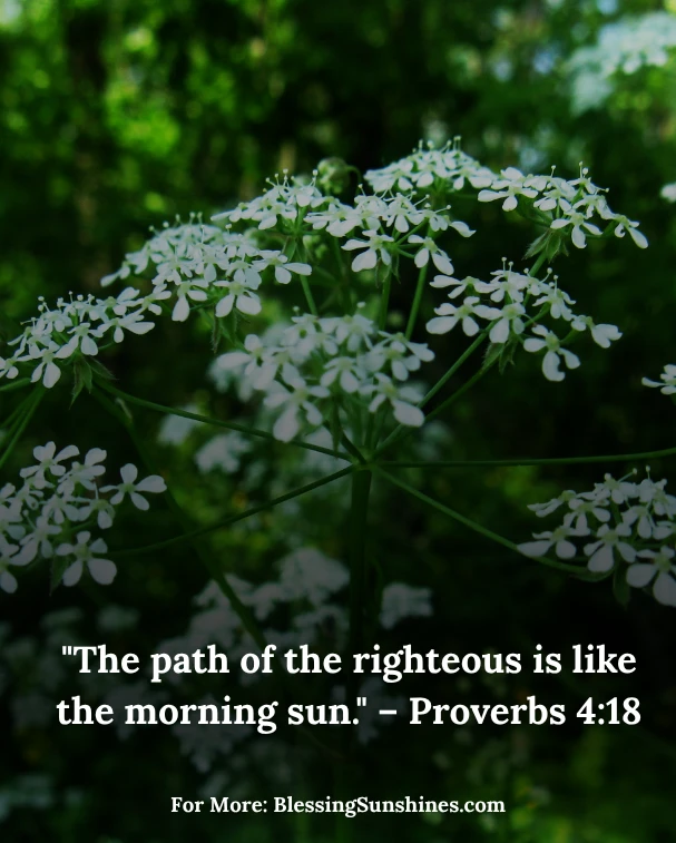Morning Light of Thursday Blessings