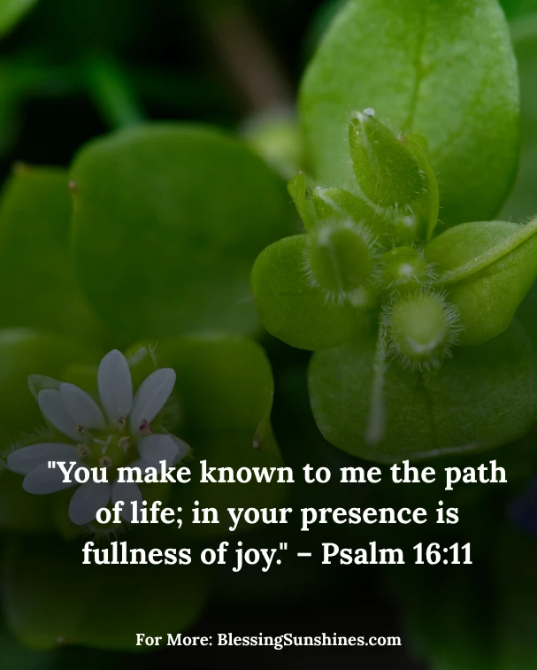 Overflowing Thursday Morning Joy