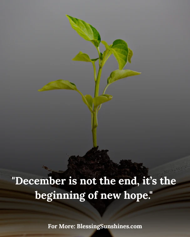 Quotes About December Month