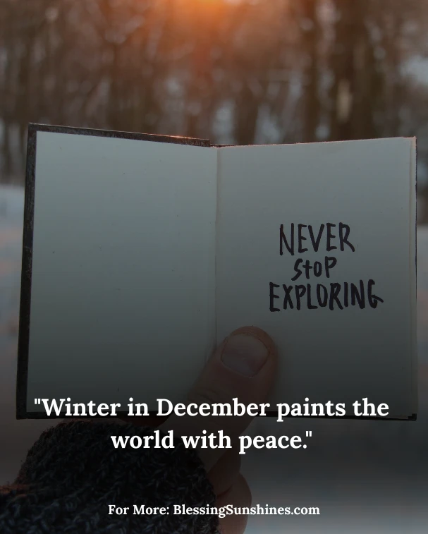 Quotes About Winter & December Magic