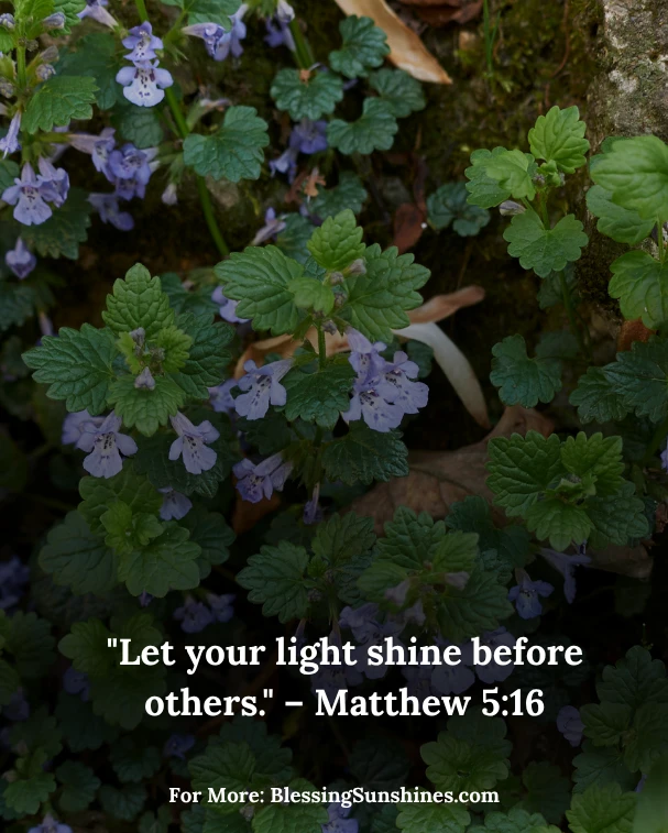 Radiate with Thursday Blessings