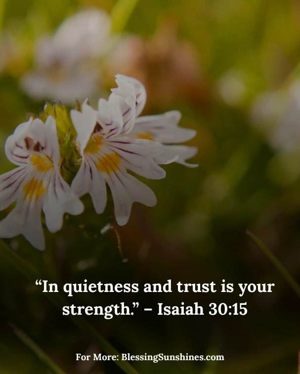 Reflective Thursday Morning Blessings