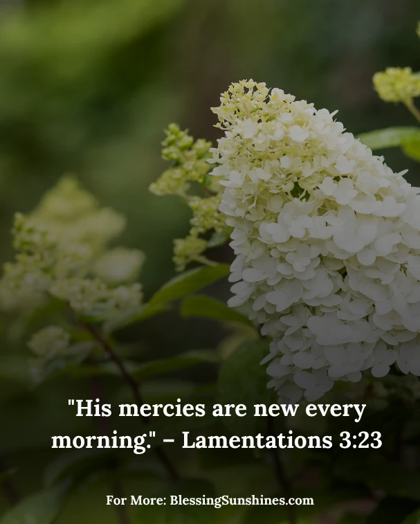 Rejoicing in Thursday’s Grace