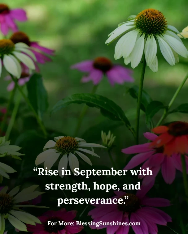 September Motivational Quotes