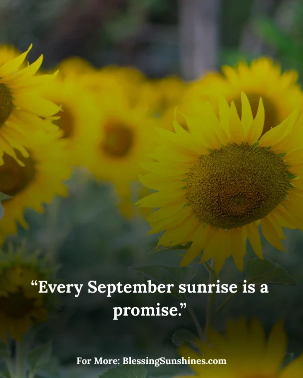 Short September Quotes