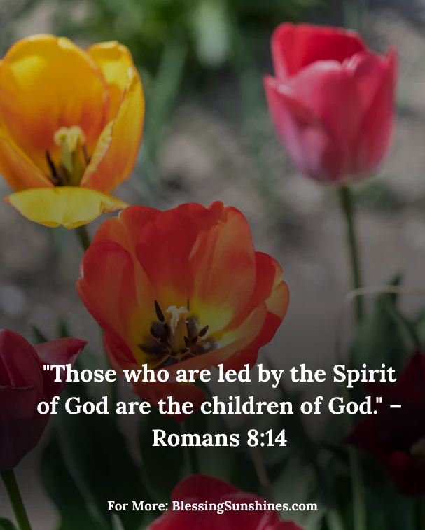 Spirit-Led Morning Blessings