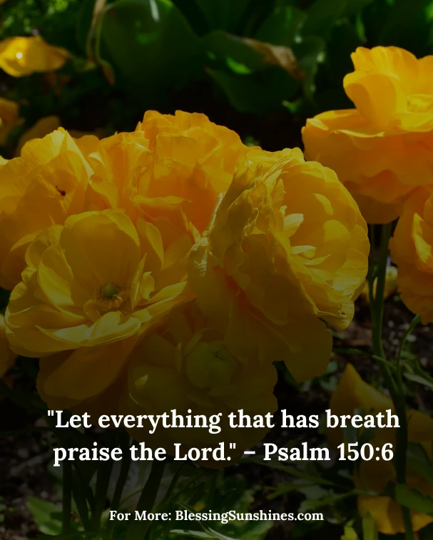 Thankful Thursday Morning Peace