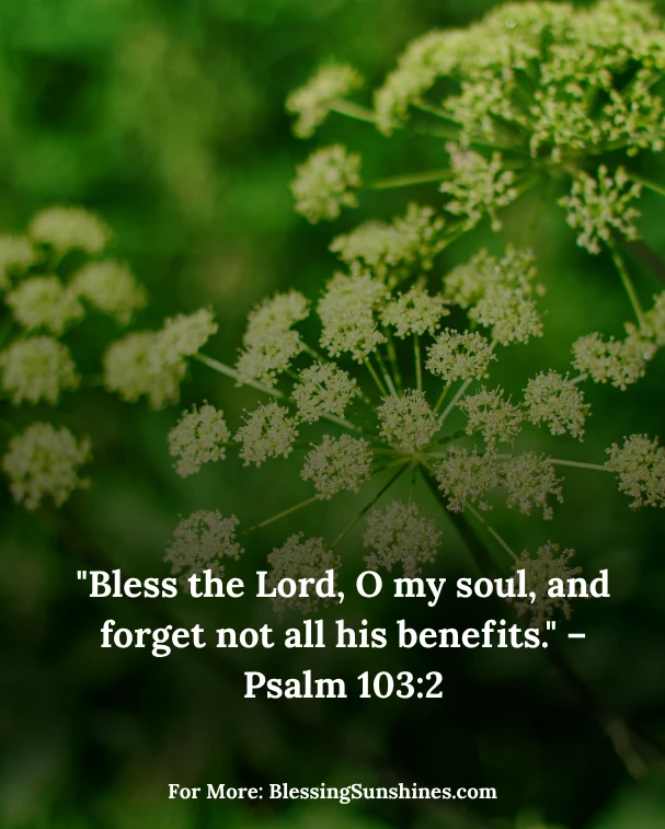 Thankful Thursday Reflections