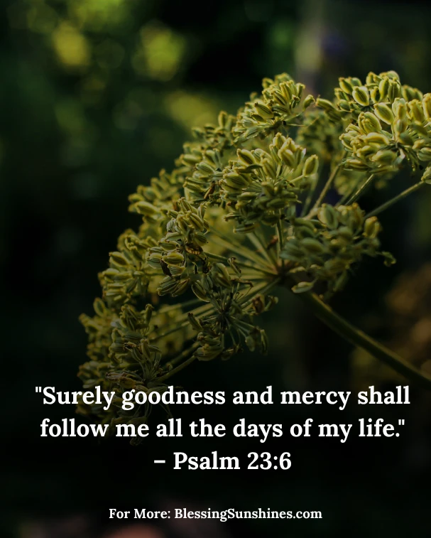 Thursday Blessings Captured