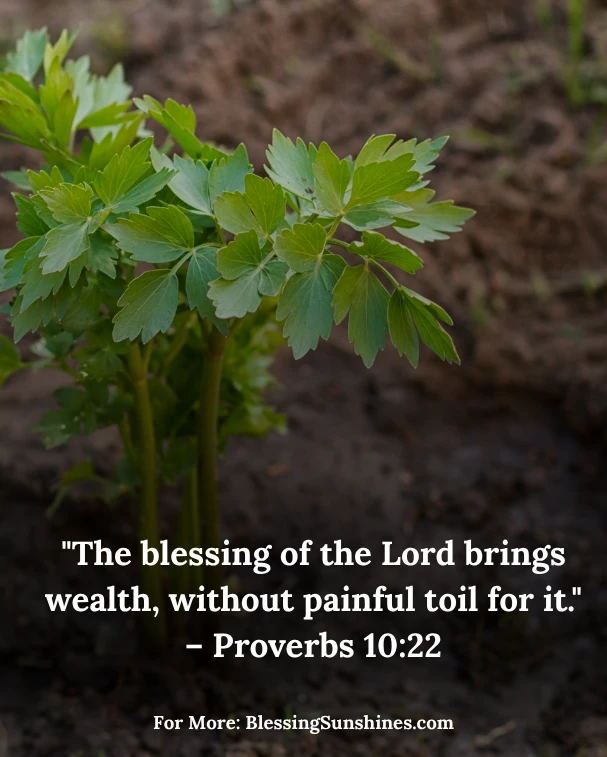 Thursday Blessings Enrich Your Day