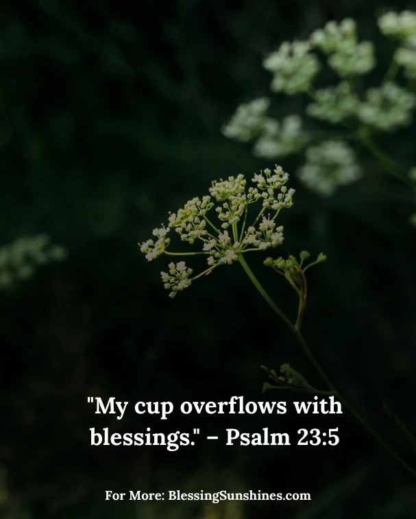 Thursday Blessings Overflow