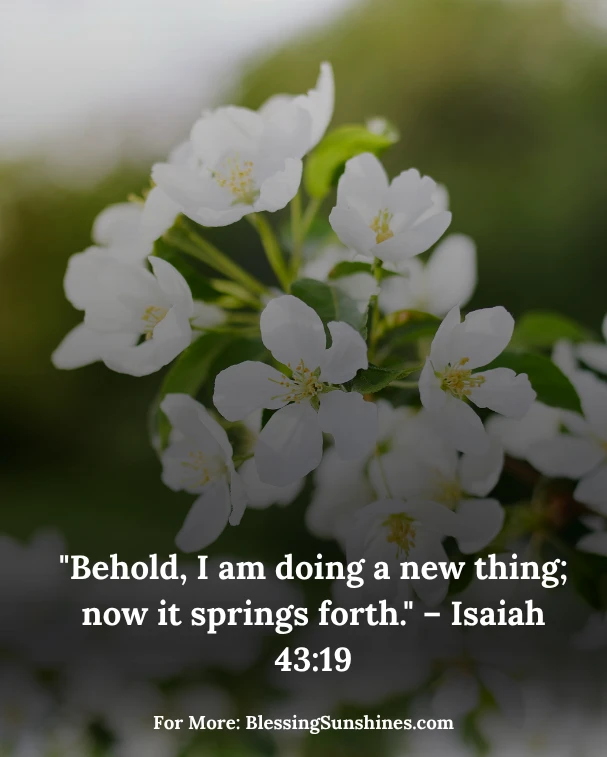 Thursday Blessings and Opportunities