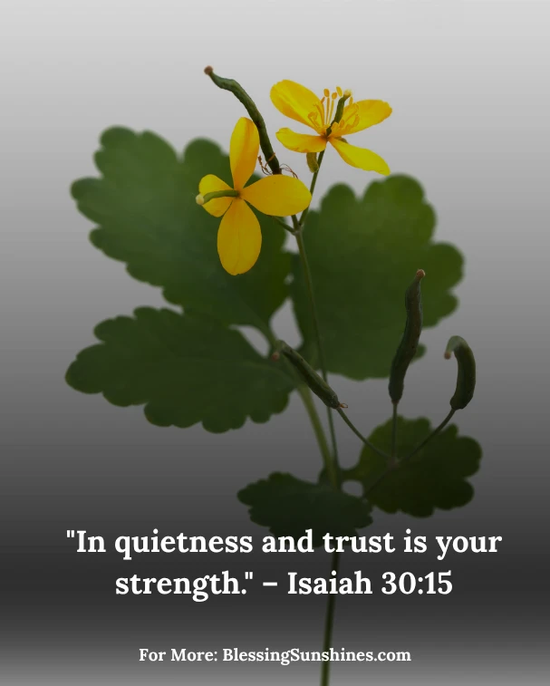 Thursday Blessings in the Small Moments
