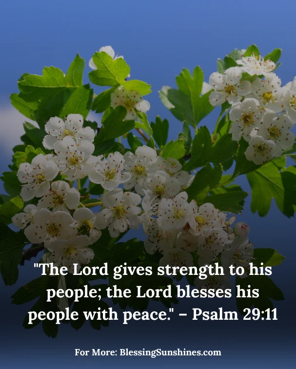 Thursday Blessings to Calm the Soul
