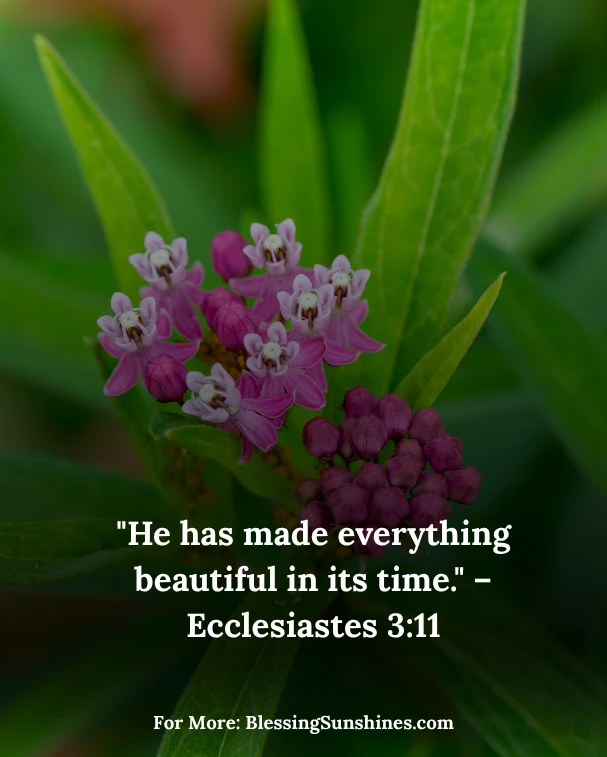 Thursday Morning Blessings Blossom