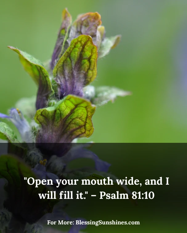 Thursday Morning Blessings in Abundance