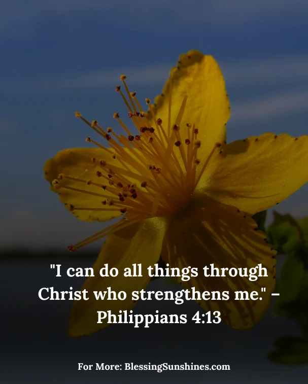 Thursday Morning Full of Purpose