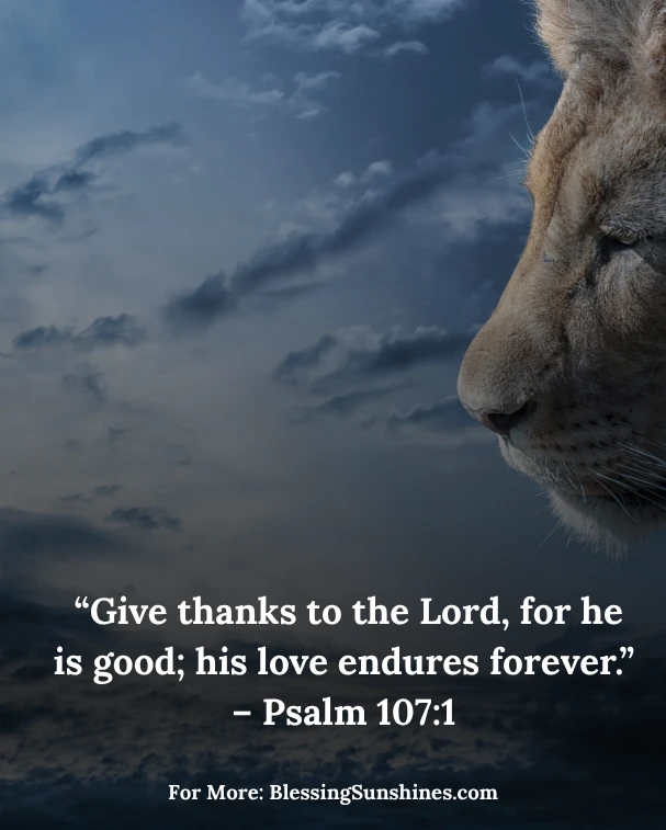 Thursday Morning Gratitude and Blessings