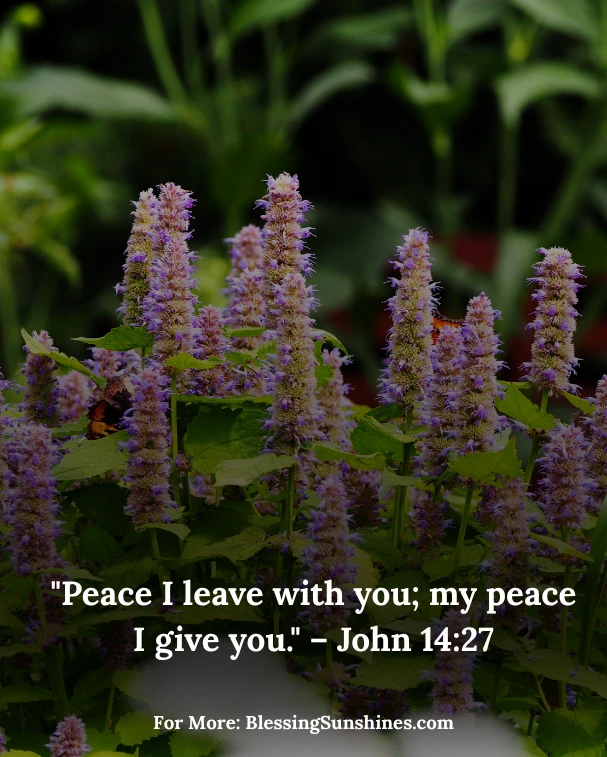Thursday Morning Serenity and Blessings