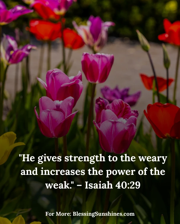 Thursday Morning of Grace and Strength