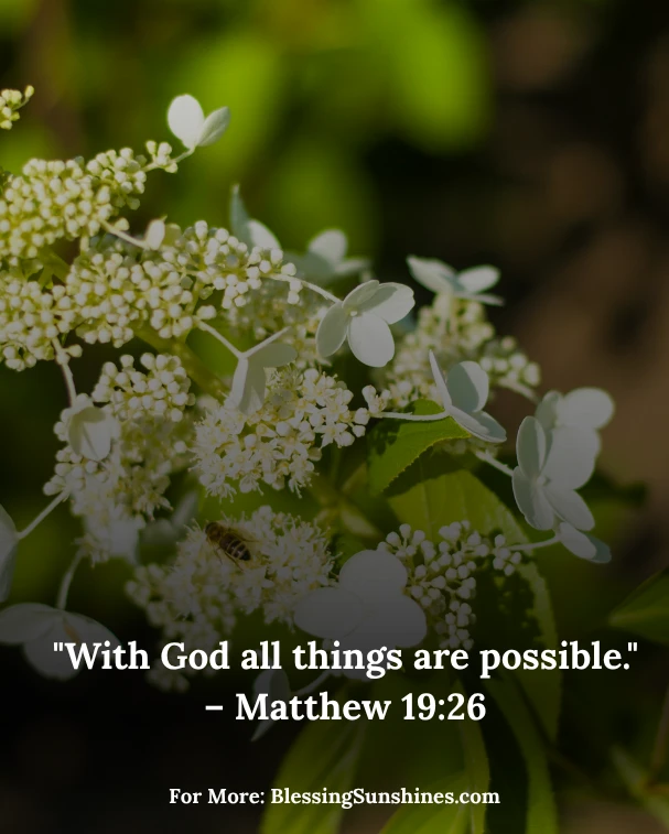 Thursday Morning of Miracles