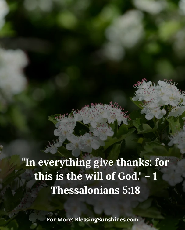 Thursday with a Thankful Soul