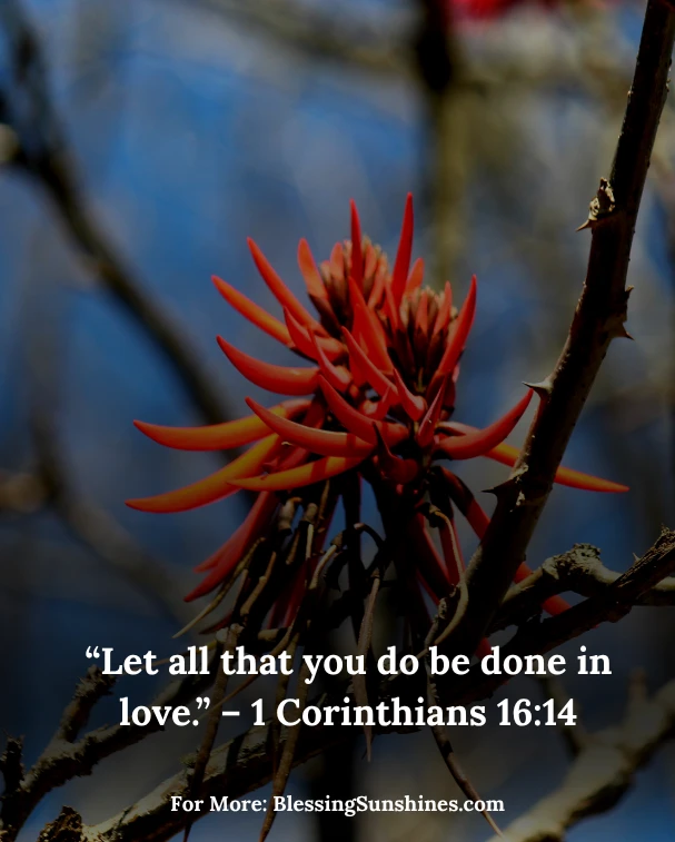 Thursday’s Blessings Radiate Love