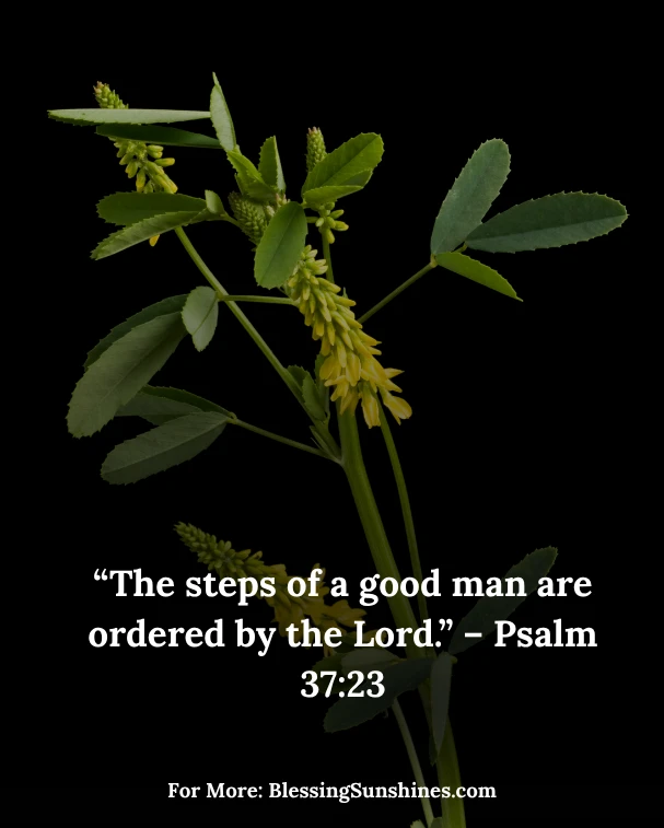 Thursday’s Blessings in Every Step