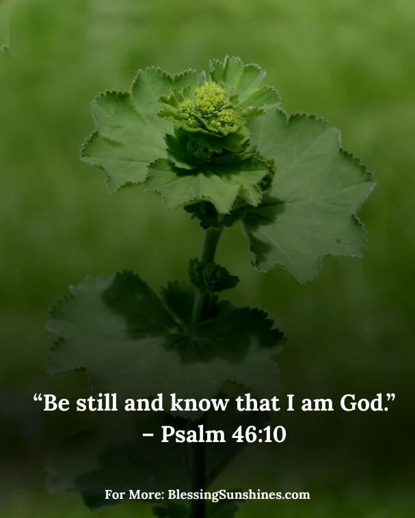 Thursday’s Inspirational Blessings
