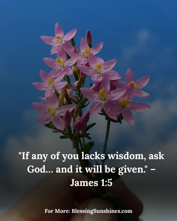 Thursday’s Words of Wisdom