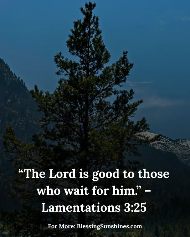 Blessing Good Morning Bible Verses