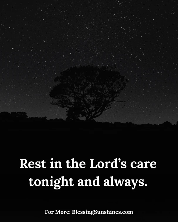 Faith-Filled Beautiful Good Night Blessings Blessings