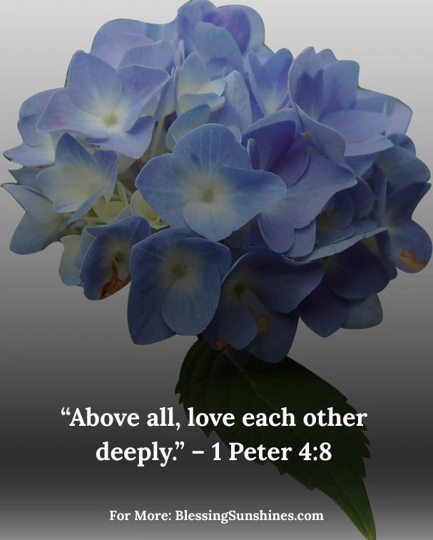 Happy Birthday Blessings Images