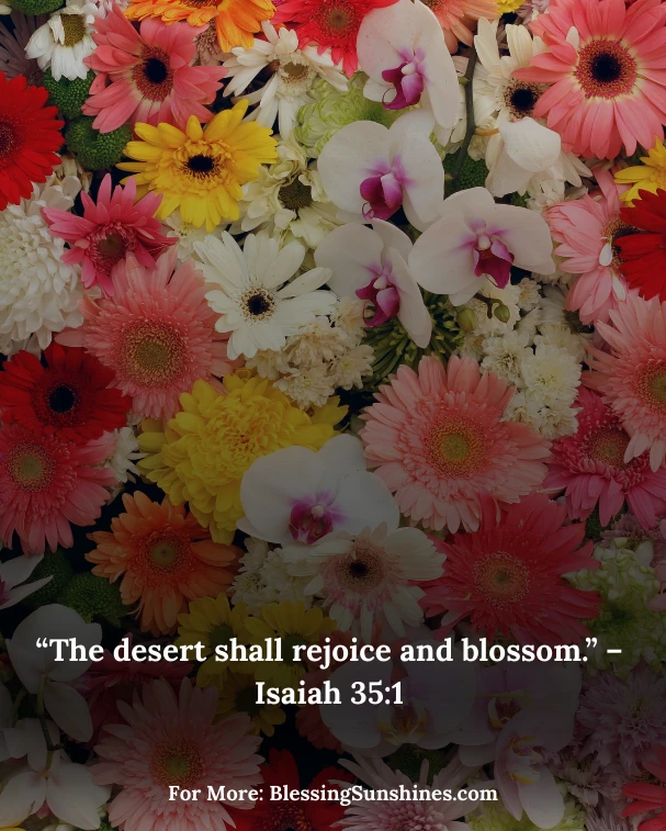Happy Birthday Blessings Images